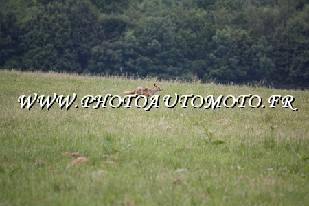 RB_9384.JPG